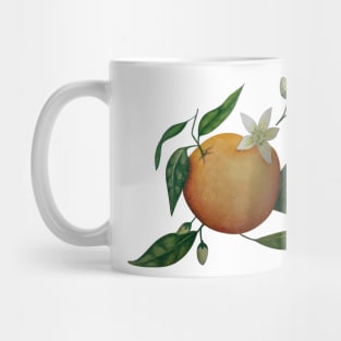 Hand Drawn Oranges Mug